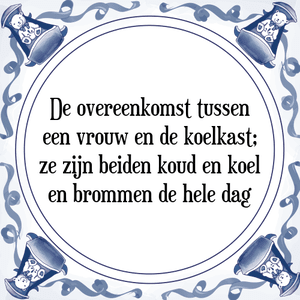 Spreuk De overeenkomst tussen
een vrouw en de koelkast;
ze zijn beiden koud en koel
en brommen de hele dag