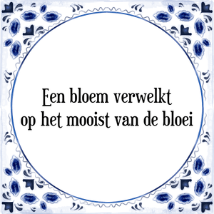 Spreuk Een bloem verwelkt
op het mooist van de bloei