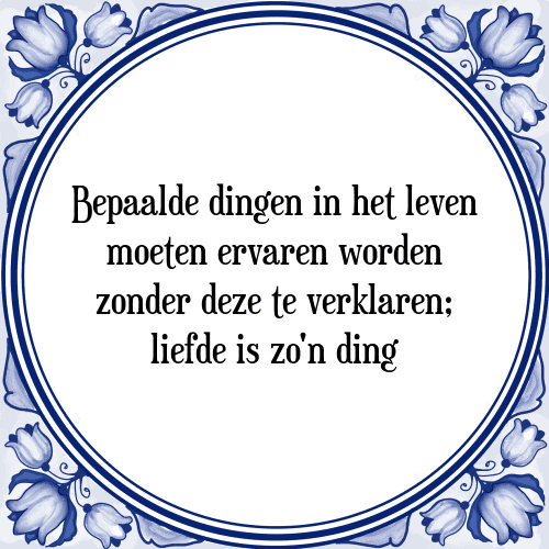 Bepaalde dingen in het leven moeten ervaren worden zonder deze te verklaren; liefde is zo'n ding - Tegeltje met Spreuk