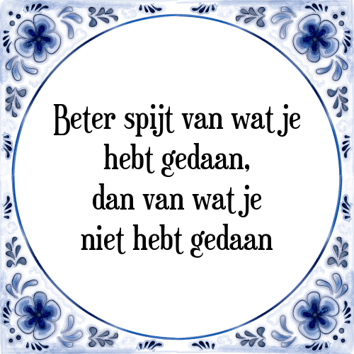 Beter spijt van wat je hebt gedaan, dan van wat je niet hebt gedaan - Tegeltje met Spreuk