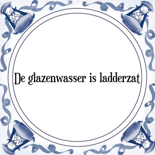 De glazenwasser is ladderzat - Tegeltje met Spreuk