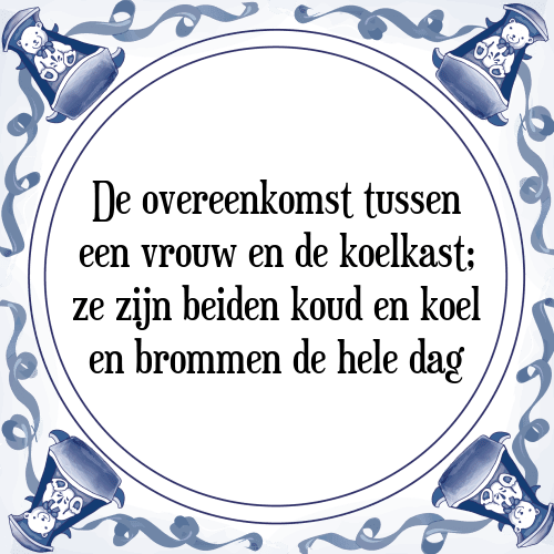 De overeenkomst tussen een vrouw en de koelkast; ze zijn beiden koud en koel en brommen de hele dag - Tegeltje met Spreuk