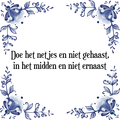 Doe het netjes en niet gehaast, in het midden en niet ernaast - Tegeltje met Spreuk