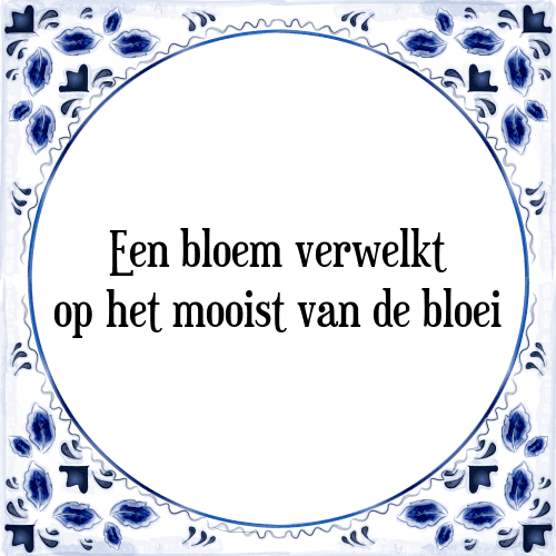 Een bloem verwelkt op het mooist van de bloei - Tegeltje met Spreuk