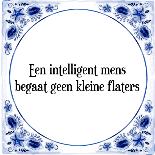 Een intelligent mens begaat geen kleine flaters - Tegeltje met Spreuk