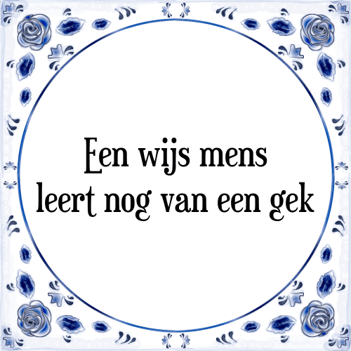 Een wijs mens leert nog van een gek - Tegeltje met Spreuk