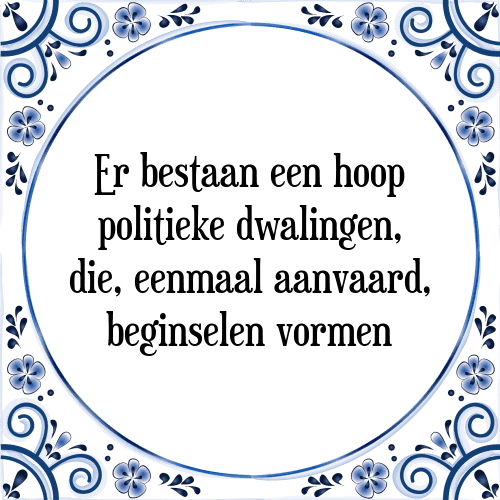 Er bestaan een hoop politieke dwalingen, die, eenmaal aanvaard, beginselen vormen - Tegeltje met Spreuk