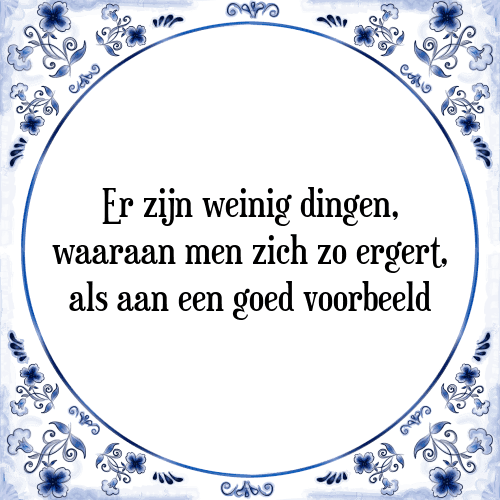 Er zijn weinig dingen, waaraan men zich zo ergert, als aan een goed voorbeeld - Tegeltje met Spreuk