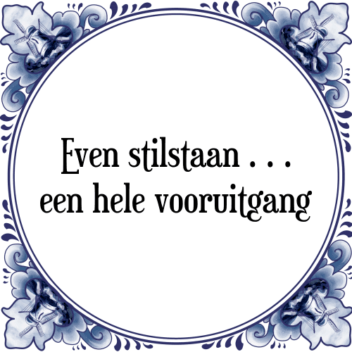 Even stilstaan een hele vooruitgang - Tegeltje met Spreuk