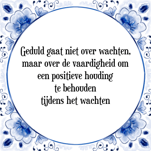 Geduld gaat niet over wachten, maar over de vaardigheid om een positieve houding te behouden tijdens het wachten - Tegeltje met Spreuk