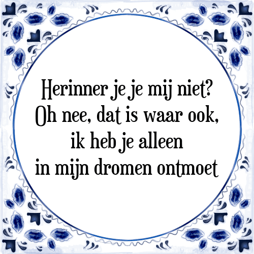 Herinner je je mij niet? Oh nee, dat is waar ook, ik heb je alleen in mijn dromen ontmoet - Tegeltje met Spreuk