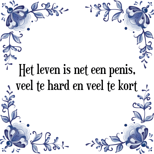 Het leven is net een penis, veel te hard en veel te kort - Tegeltje met Spreuk