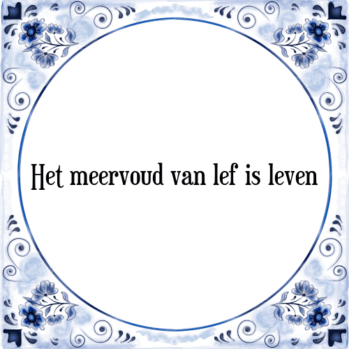 Het meervoud van lef is leven - Tegeltje met Spreuk