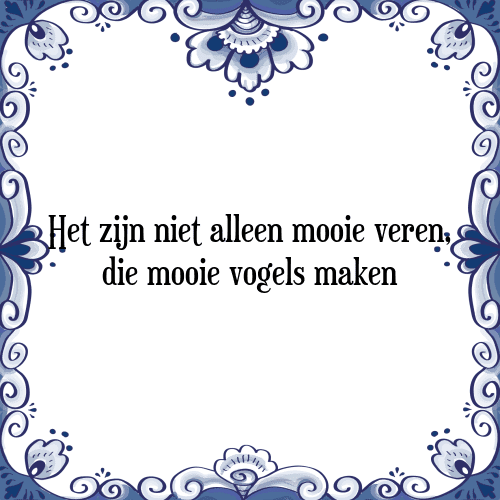 Het zijn niet alleen mooie veren, die mooie vogels maken - Tegeltje met Spreuk