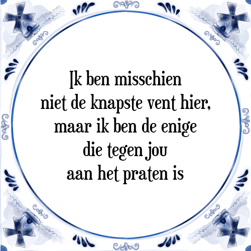 Ik ben misschien niet de knapste vent hier, maar ik ben de enige die tegen jou aan het praten is - Tegeltje met Spreuk