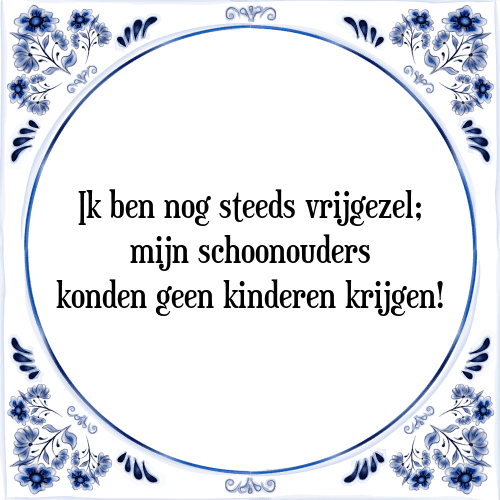 Ik ben nog steeds vrijgezel; mijn schoonouders konden geen kinderen krijgen! - Tegeltje met Spreuk