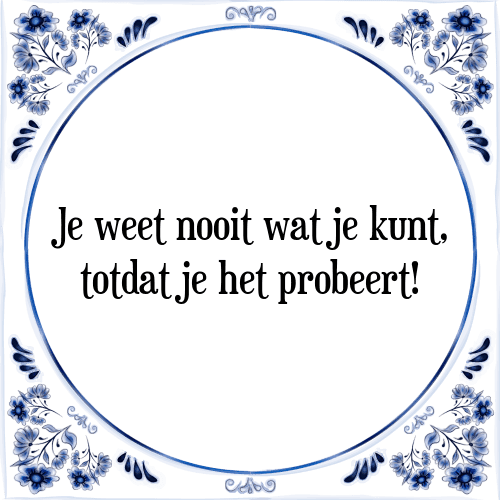 Je weet nooit wat je kunt, totdat je het probeert! - Tegeltje met Spreuk