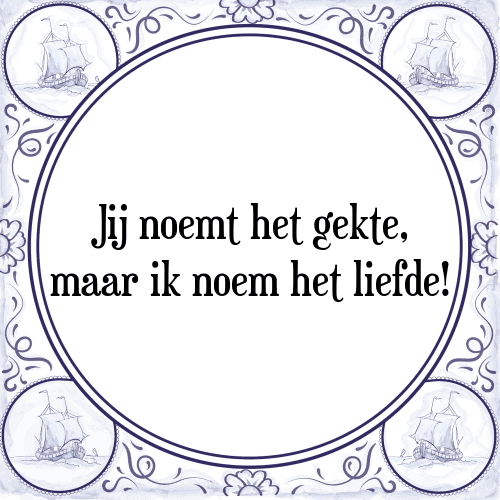 Jij noemt het gekte, maar ik noem het liefde! - Tegeltje met Spreuk