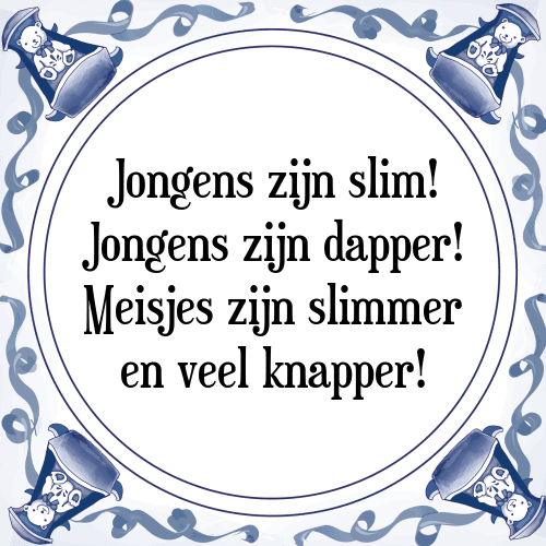 Jongens zijn slim! Jongens zijn dapper! Meisjes zijn slimmer en veel knapper! - Tegeltje met Spreuk