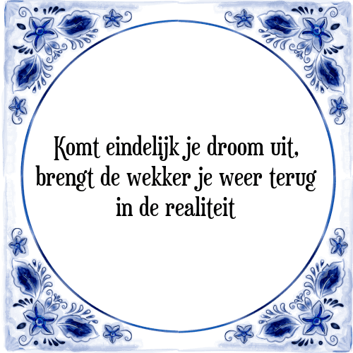 Komt eindelijk je droom uit, brengt de wekker je weer terug in de realiteit - Tegeltje met Spreuk