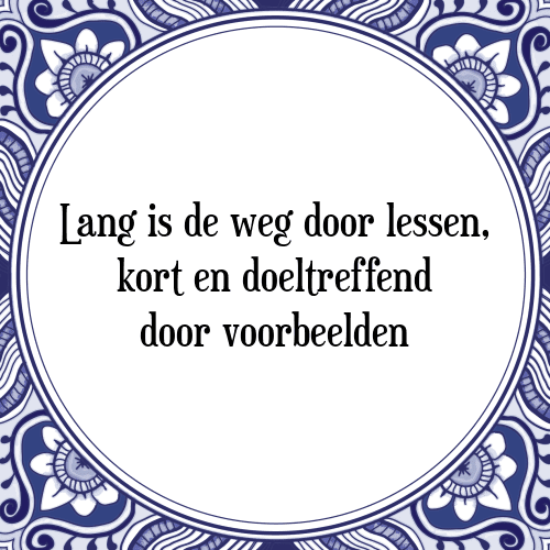 Lang is de weg door lessen, kort en doeltreffend door voorbeelden - Tegeltje met Spreuk