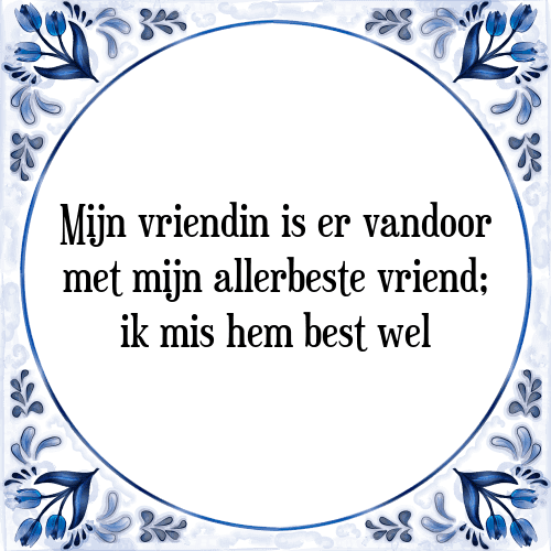 Mijn vriendin is er vandoor met mijn allerbeste vriend; ik mis hem best wel - Tegeltje met Spreuk