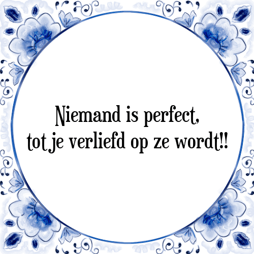 Niemand is perfect, tot je verliefd op ze wordt!! - Tegeltje met Spreuk