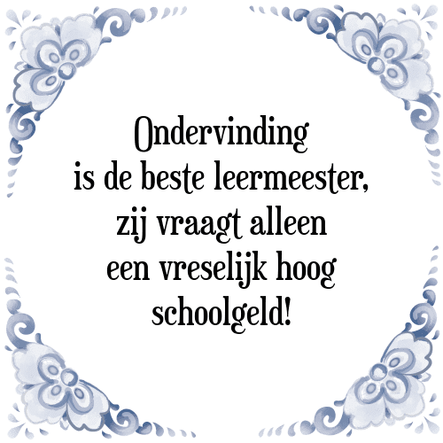 Ondervinding is de beste leermeester, zij vraagt alleen een vreselijk hoog schoolgeld! - Tegeltje met Spreuk