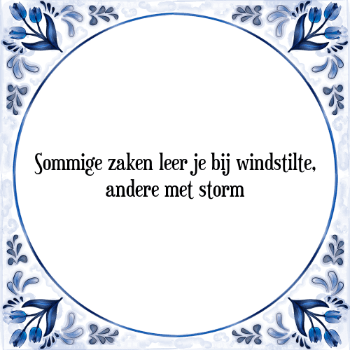 Sommige zaken leer je bij windstilte, andere met storm - Tegeltje met Spreuk