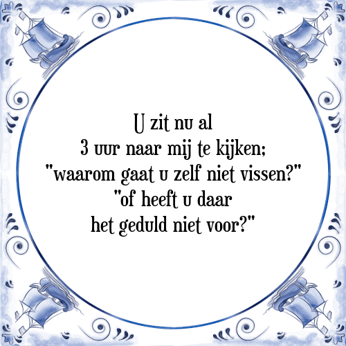 U zit nu al 3 uur naar mij te kijken; "waarom gaat u zelf niet vissen?" "of heeft u daar het geduld niet voor?" - Tegeltje met Spreuk