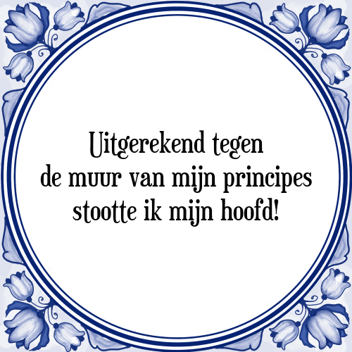 Uitgerekend tegen de muur van mijn principes stootte ik mijn hoofd! - Tegeltje met Spreuk