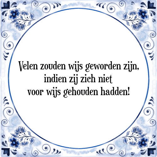 Velen zouden wijs geworden zijn, indien zij zich niet voor wijs gehouden hadden! - Tegeltje met Spreuk