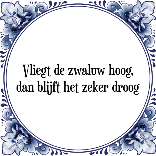 Vliegt de zwaluw hoog, dan blijft het zeker droog - Tegeltje met Spreuk