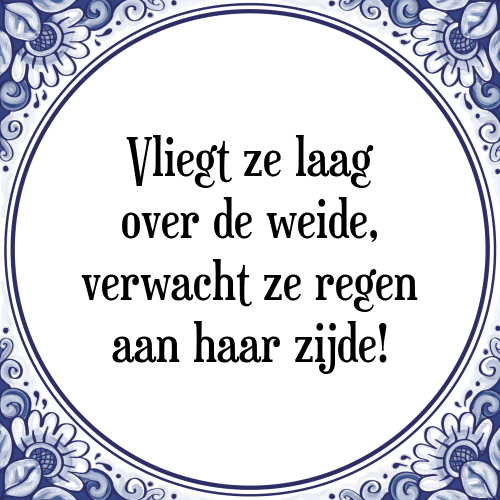 Vliegt ze laag over de weide, verwacht ze regen aan haar zijde! - Tegeltje met Spreuk