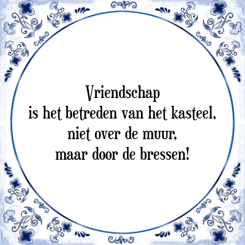 Vriendschap is het betreden van het kasteel, niet over de muur, maar door de bressen! - Tegeltje met Spreuk