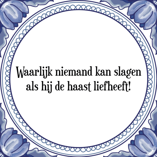 Waarlijk niemand kan slagen als hij de haast liefheeft! - Tegeltje met Spreuk