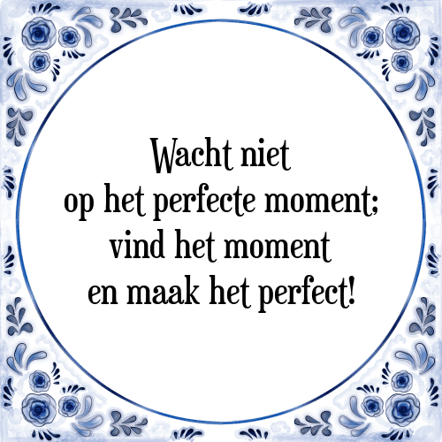 Wacht niet op het perfecte moment; vind het moment en maak het perfect! - Tegeltje met Spreuk