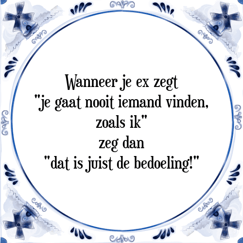 Wanneer je ex zegt "je gaat nooit iemand vinden, zoals ik" zeg dan "dat is juist de bedoeling!" - Tegeltje met Spreuk