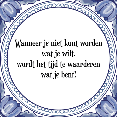 Wanneer je niet kunt worden wat je wilt, wordt het tijd te waarderen wat je bent! - Tegeltje met Spreuk