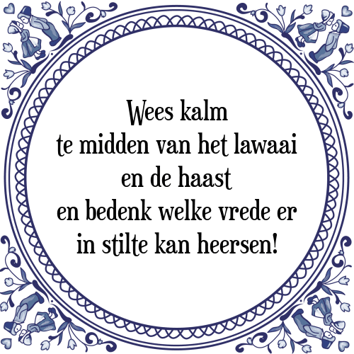 Wees kalm te midden van het lawaai en de haast en bedenk welke vrede er in stilte kan heersen! - Tegeltje met Spreuk