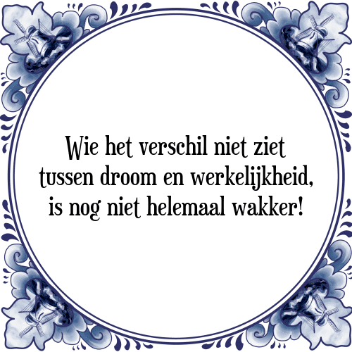 Wie het verschil niet ziet tussen droom en werkelijkheid, is nog niet helemaal wakker! - Tegeltje met Spreuk