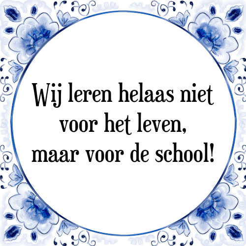 Wij leren helaas niet voor het leven, maar voor de school! - Tegeltje met Spreuk