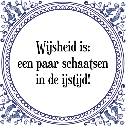 Wijsheid is: een paar schaatsen in de ijstijd! - Tegeltje met Spreuk