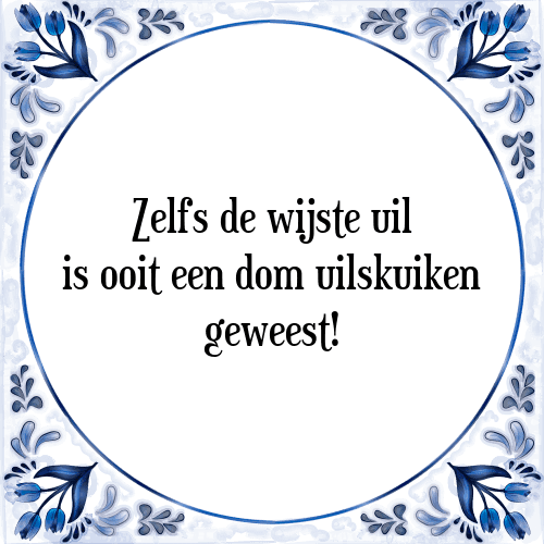 Zelfs de wijste uil is ooit een dom uilskuiken geweest! - Tegeltje met Spreuk